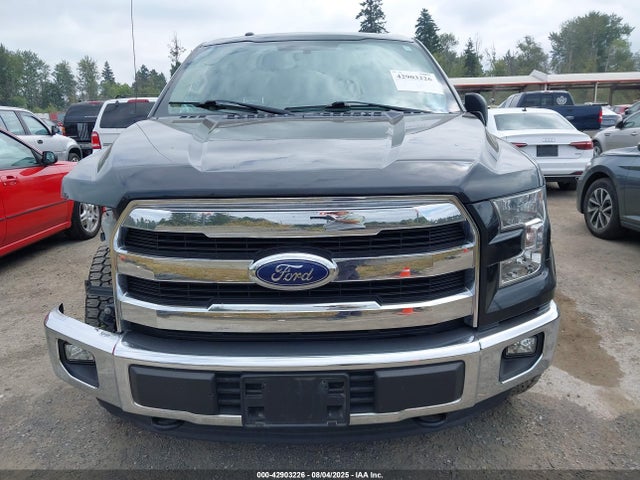 Ford 2015 2015 1FTEW1EF2FFB07192 Image 12