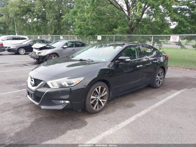 Nissan Maxima 2016 1N4AA6AP2GC435746 Image 2