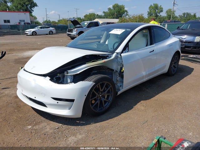 2019 TESLA MODEL 3 5YJ3E1EA2KF429392 Photo 1
