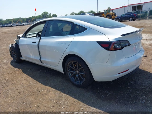2019 TESLA MODEL 3 5YJ3E1EA2KF429392 Photo 2