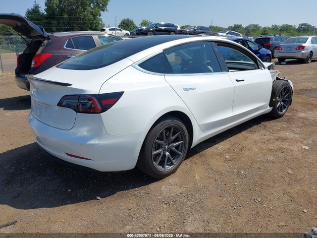 2019 TESLA MODEL 3 5YJ3E1EA2KF429392 Photo 3