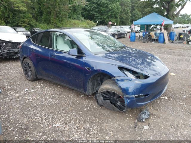 2022 TESLA MODEL Y 7SAYGDEF1NF381579 Photo 0