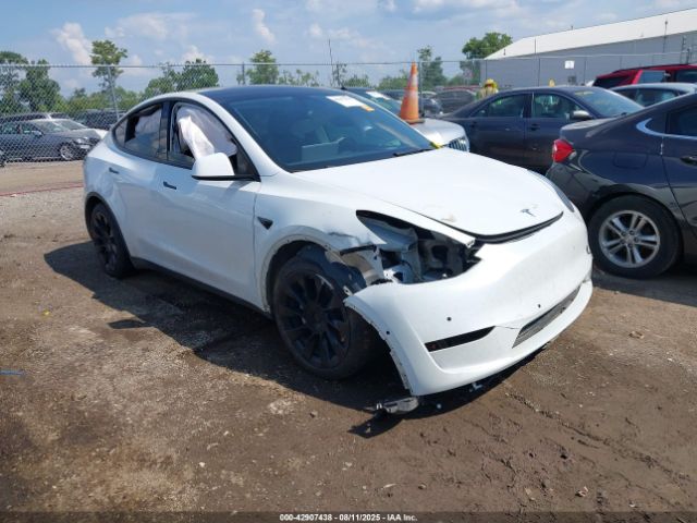 2021 TESLA MODEL Y 5YJYGAEE6MF192136