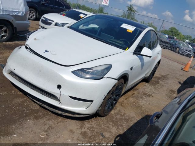2021 TESLA MODEL Y 5YJYGAEE6MF192136 Photo 1