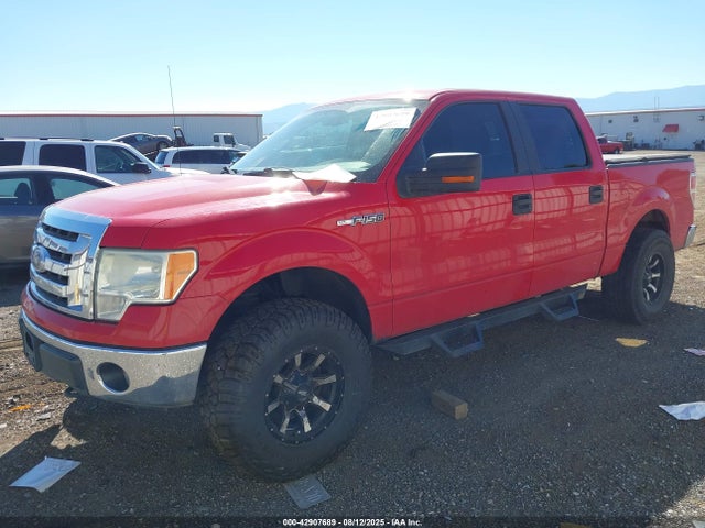 2010 FORD F-150 1FTFW1EV1AFA69488 Photo 1