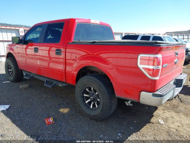 2010 FORD F-150 1FTFW1EV1AFA69488 Photo 2
