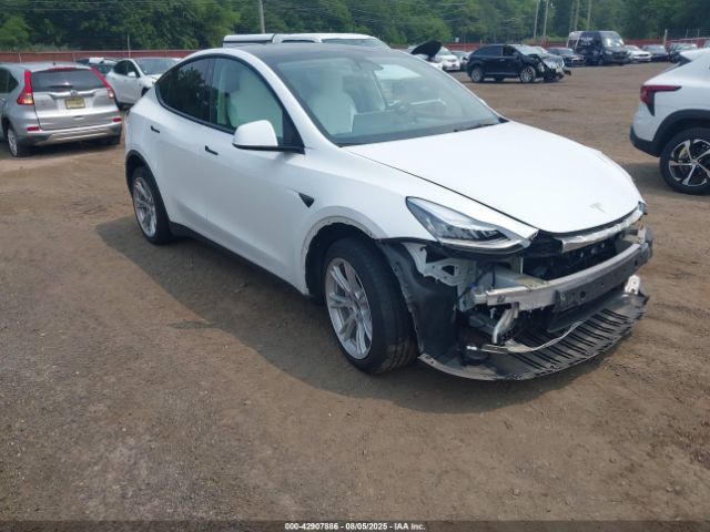 2023 TESLA MODEL Y 7SAYGDEEXPF617236 Photo 0