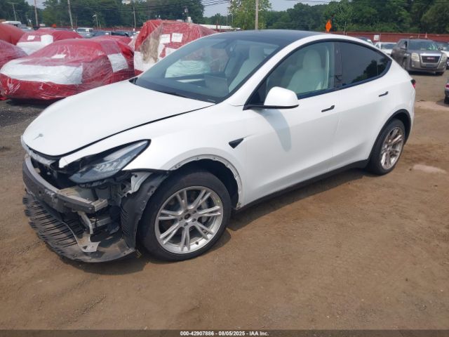 2023 TESLA MODEL Y 7SAYGDEEXPF617236 Photo 1
