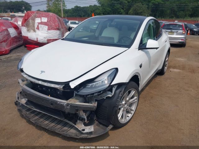 2023 TESLA MODEL Y 7SAYGDEEXPF617236 Photo 5