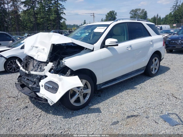 Mercedes-Benz m276 2019 4JGDA5GB6KB215386 Image 2