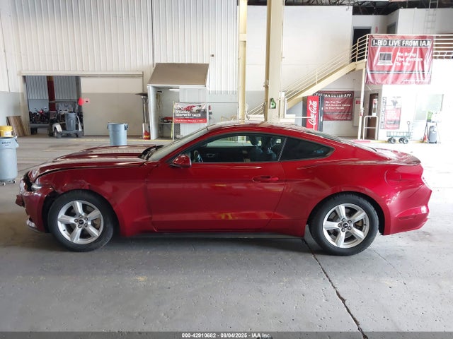 Ford 2016 2016 1FA6P8AM0G5206914 Image 15