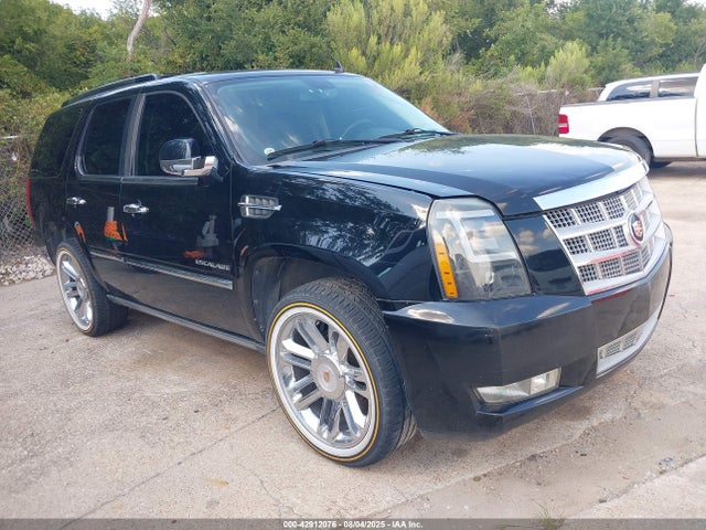 2010 CADILLAC ESCALADE 1GYUKDEF4AR152919 Photo 0