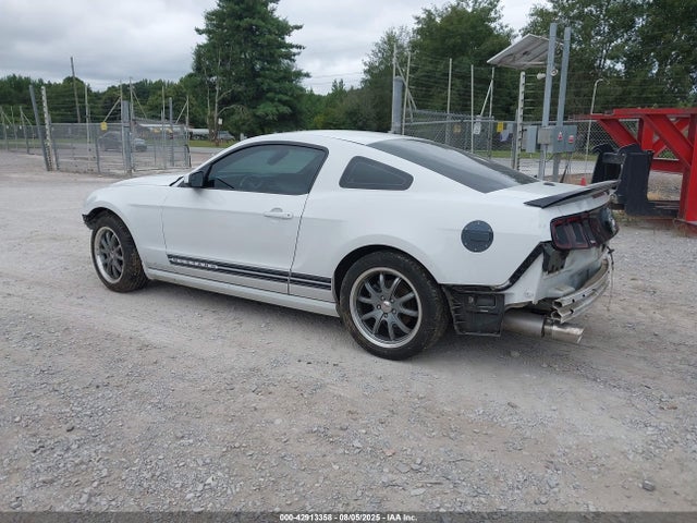 1ZVBP8AM0E5302626 Ford 2014