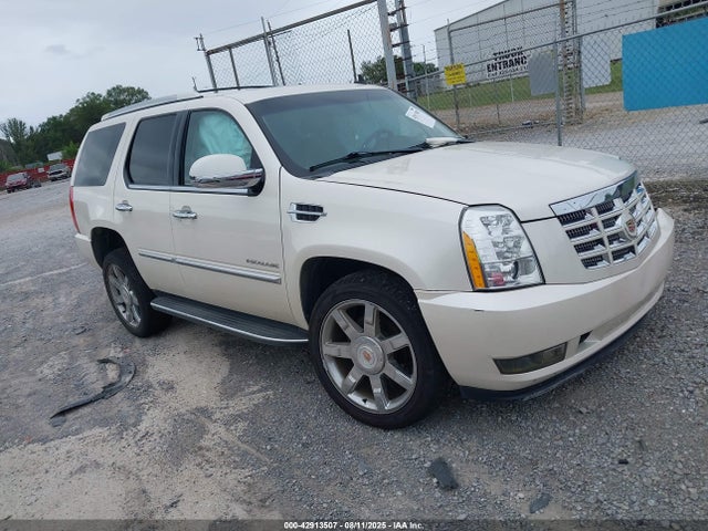 2013 CADILLAC ESCALADE 1GYS4BEF6DR161843 Photo 0