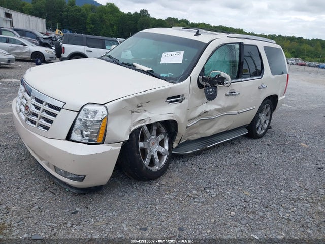 2013 CADILLAC ESCALADE 1GYS4BEF6DR161843 Photo 1