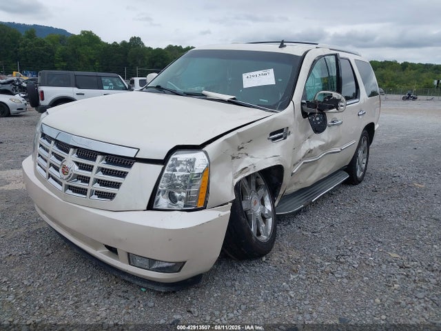2013 CADILLAC ESCALADE 1GYS4BEF6DR161843 Photo 5