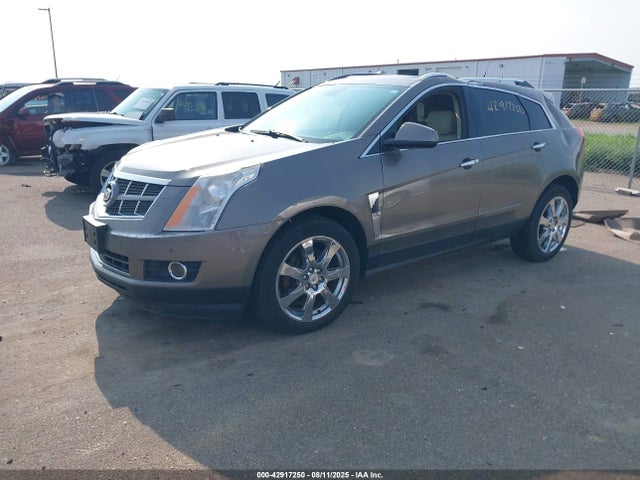 2011 CADILLAC SRX 3GYFNFEY3BS565605 Photo 1