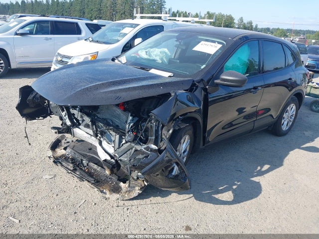 Ford dragon gtdi 2025 1FMCU9GN5SUB20066 Image 2