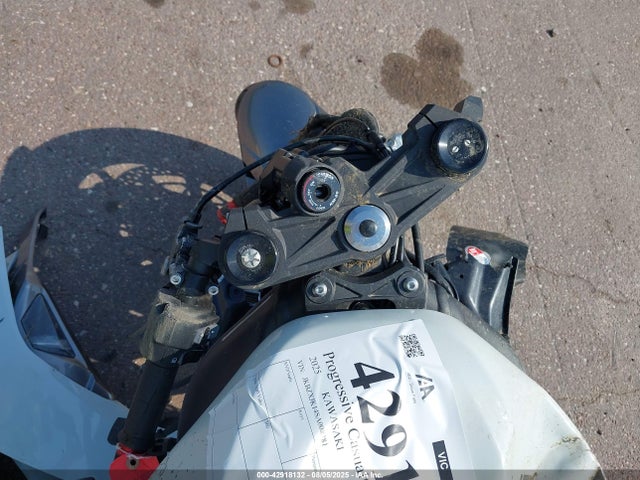 JKBZXJK14SA008281 Kawasaki 2025