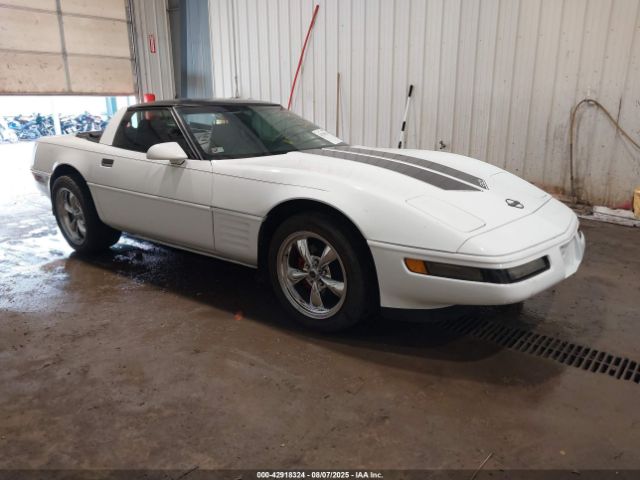 1994 CHEVROLET CORVETTE 1G1YY22P6R5109525