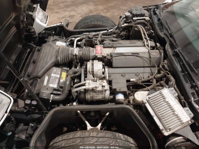 1994 CHEVROLET CORVETTE 1G1YY22P6R5109525 Photo 9