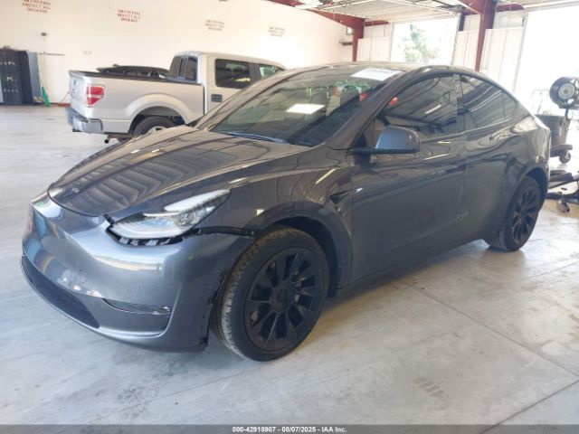 2023 TESLA MODEL Y 7SAYGAEE1PF587123 Photo 1