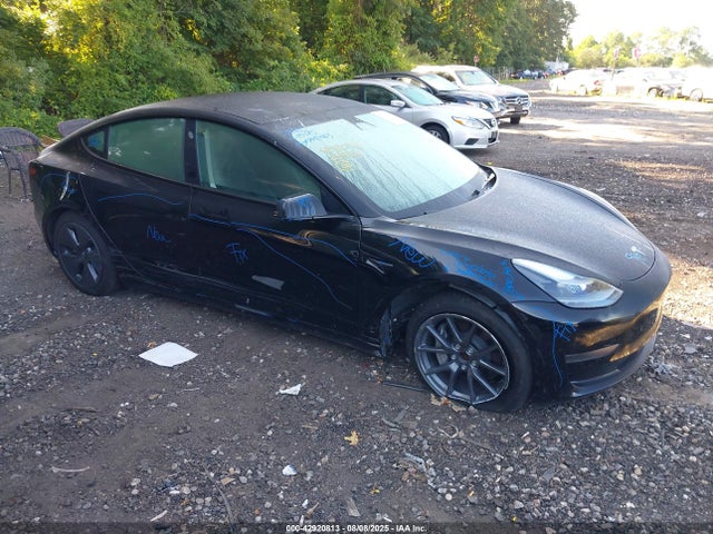 2023 TESLA MODEL 3 5YJ3E1EA5PF496897 Photo 5