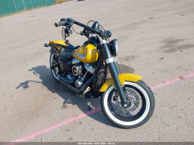 2019 HARLEY-DAVIDSON FLSL 1HD1YDJ13KC010839