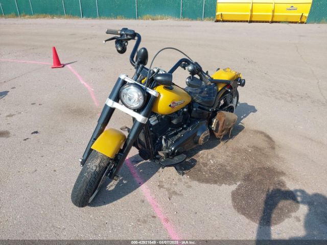2019 HARLEY-DAVIDSON FLSL 1HD1YDJ13KC010839 Photo 1
