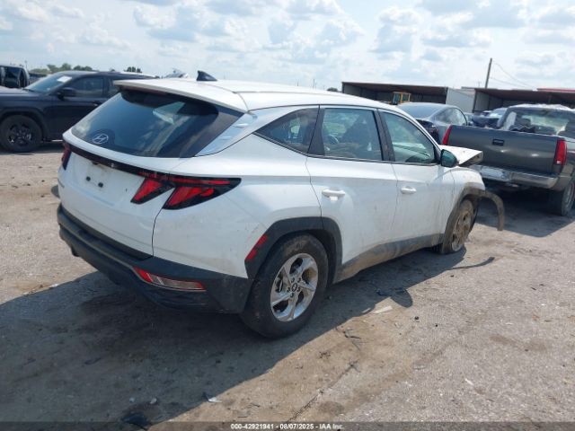 2024 HYUNDAI TUCSON 5NMJA3DE1RH367138 Photo 3