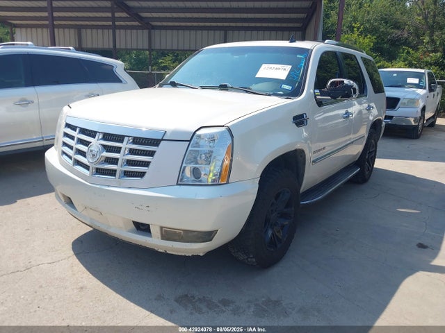 2010 CADILLAC ESCALADE 1GYUKBEF8AR286742 Photo 1