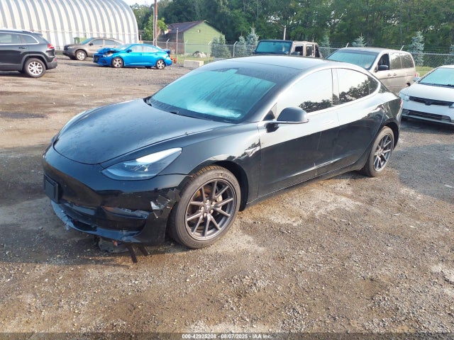 Tesla MODEL 3 2019 5YJ3E1EB0KF384879 Image 2