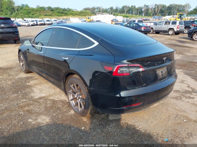 Tesla MODEL 3 2019 5YJ3E1EB0KF384879 Image 3