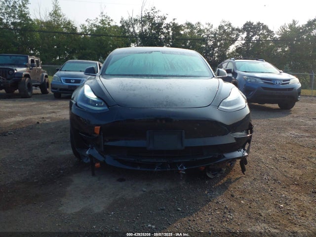 Tesla MODEL 3 2019 5YJ3E1EB0KF384879 Image 6