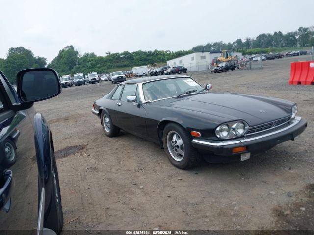 1985 JAGUAR XJS SAJNV584XFC123616