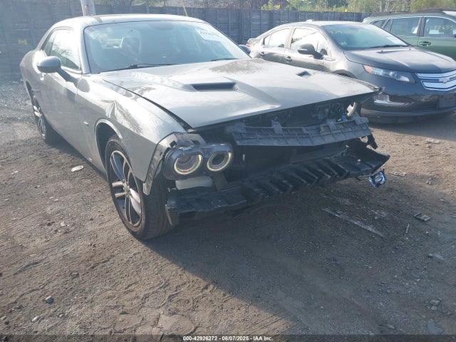 Dodge 2018 2018 2C3CDZGG3JH162246 Image 6