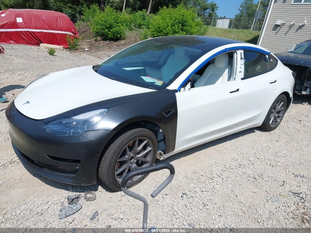 2021 TESLA MODEL 3 5YJ3E1EAXMF083269 Photo 1