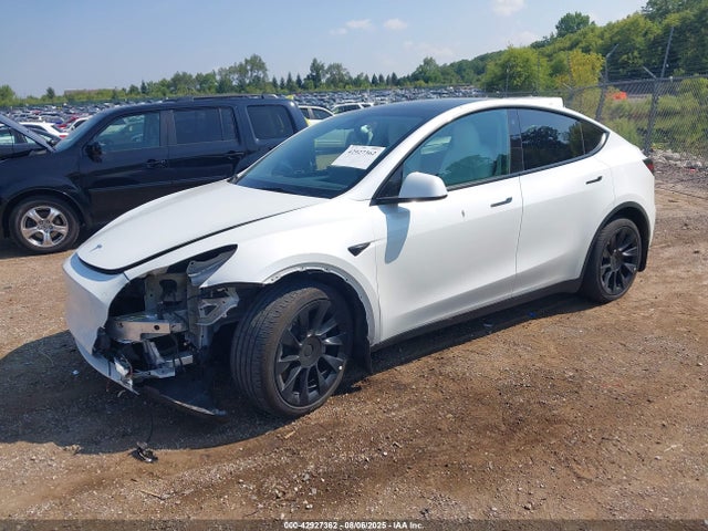 2023 TESLA MODEL Y 7SAYGAEE5PF708297 Photo 1