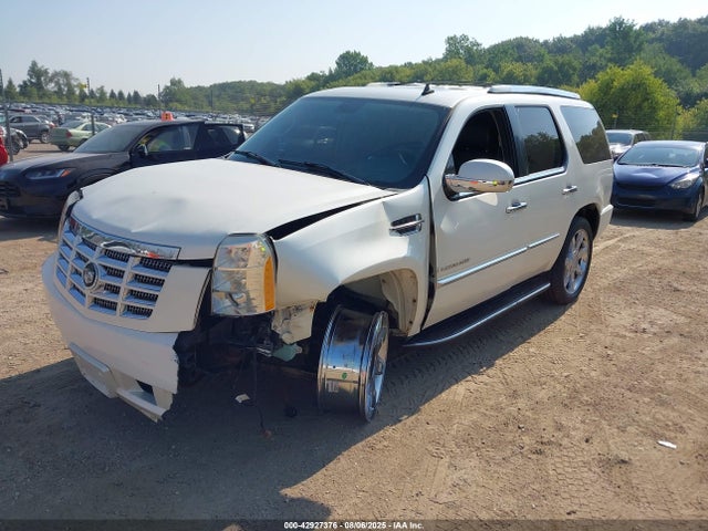 2007 CADILLAC ESCALADE 1GYFK63887R363462 Photo 1