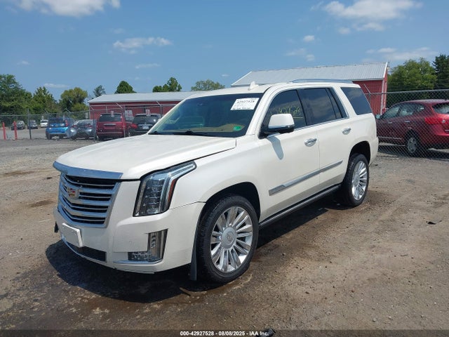 2015 CADILLAC ESCALADE 1GYS4PKJ3FR642643 Photo 1