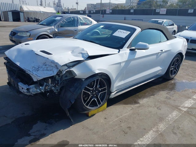 Ford 4v 2022 1FATP8UH3N5124464 Image 2