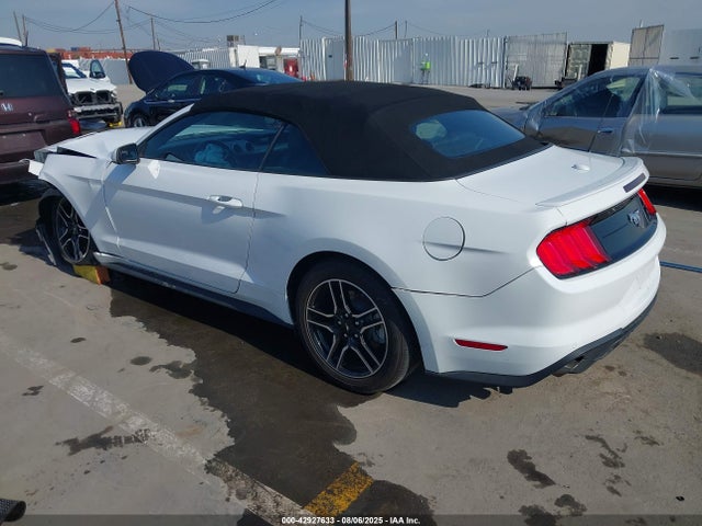 Ford 4v 2022 1FATP8UH3N5124464 Image 3
