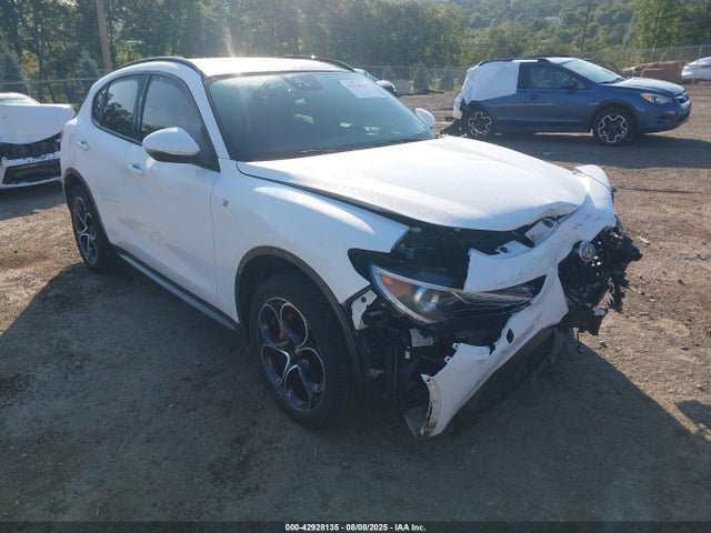 2022 ALFA ROMEO STELVIO ZASPAKBN5N7D24907