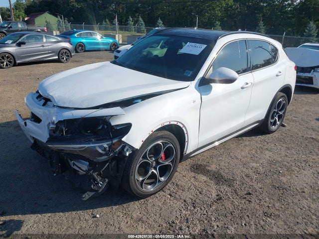 2022 ALFA ROMEO STELVIO ZASPAKBN5N7D24907 Photo 1