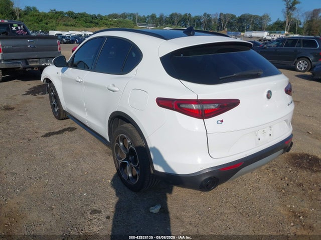 2022 ALFA ROMEO STELVIO ZASPAKBN5N7D24907 Photo 2