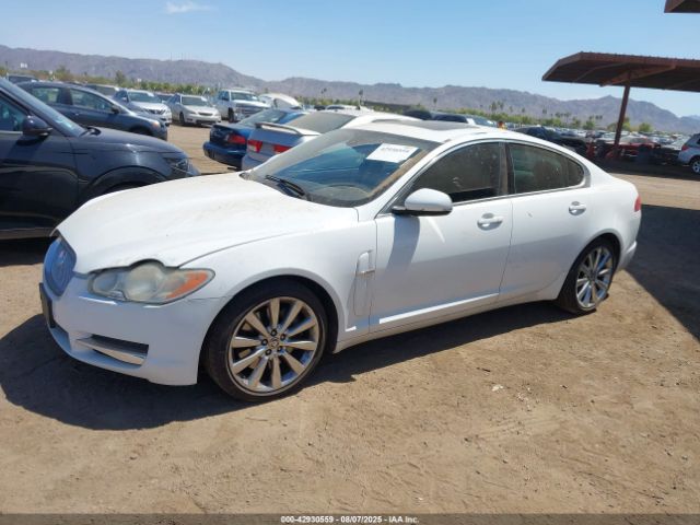 2011 JAGUAR XF SAJWA0FB2BLS14393 Photo 1