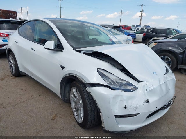2021 TESLA MODEL Y 5YJYGDEE0MF095080 Photo 0