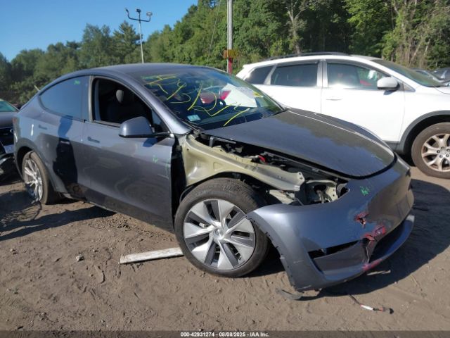 2023 TESLA MODEL Y 7SAYGDEE9PA034329 Photo 0