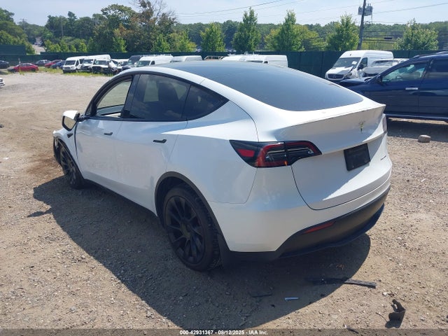 2023 TESLA MODEL Y 7SAYGDEE3PF691680 Photo 2