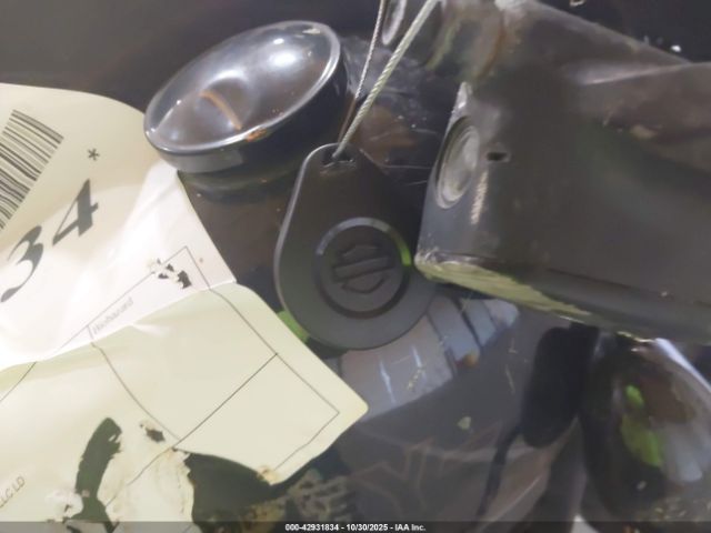 2021 HARLEY-DAVIDSON FXLRS 1HD1YWK22MB054083 Photo 10